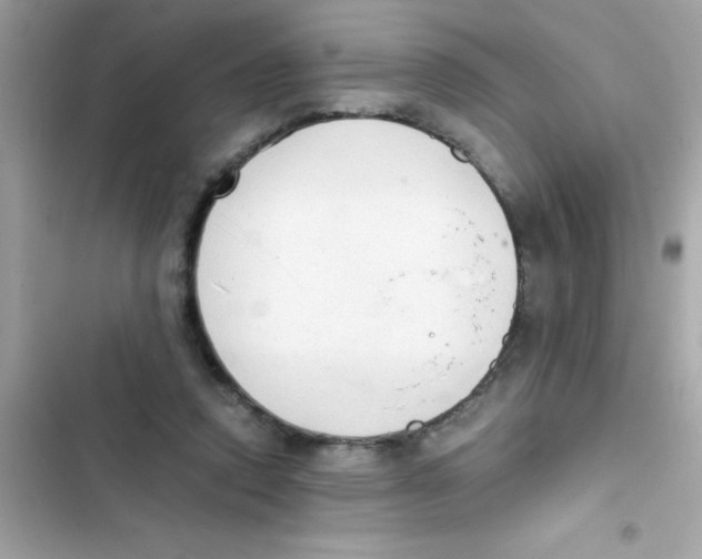 X0000103130354200809191947