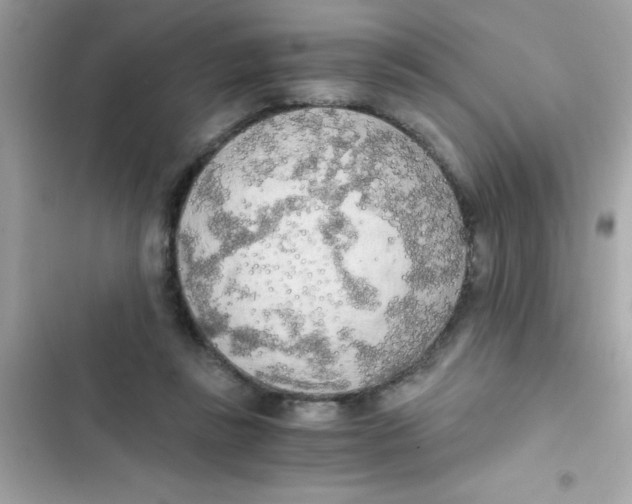 X0000103130355200809191947
