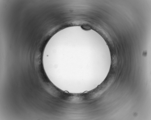 X0000103130356200809191947