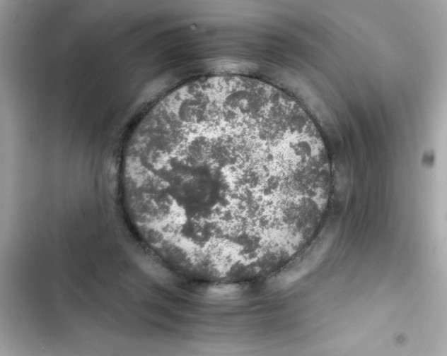 X0000103130357200809191947