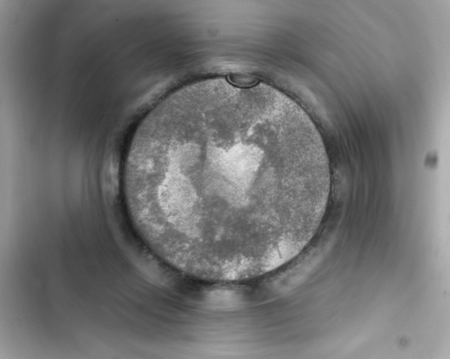 X0000103130358200809191947
