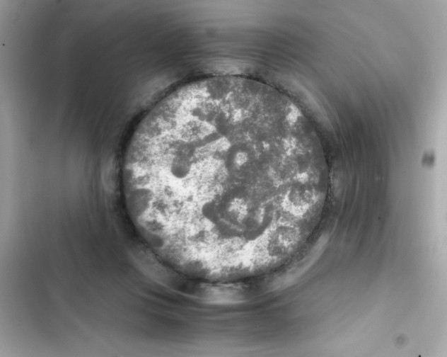 X0000103130359200809191947