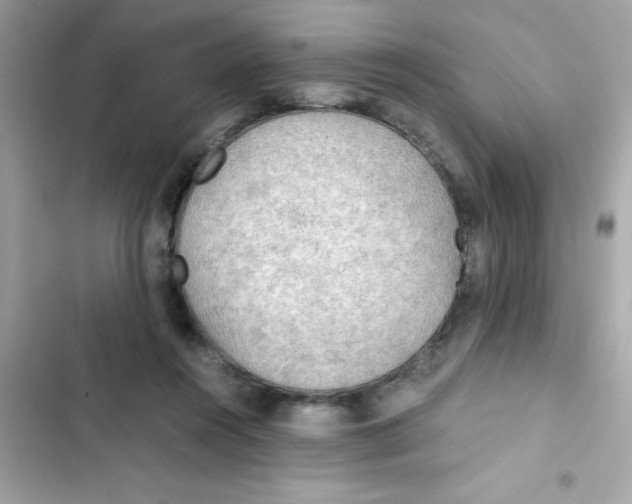X0000103130360200809191947