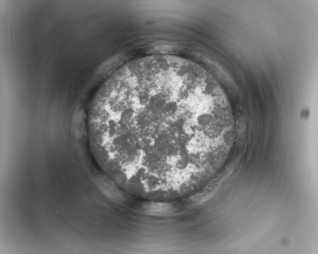 X0000103130361200809191947