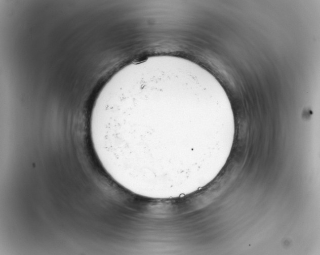 X0000103130362200809191947