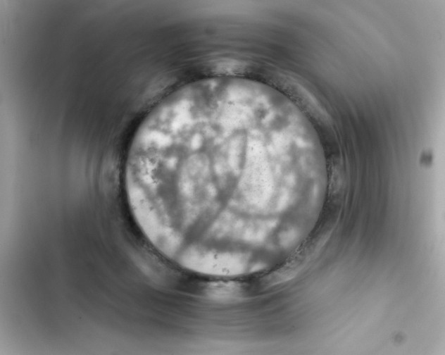 X0000103130363200809191947