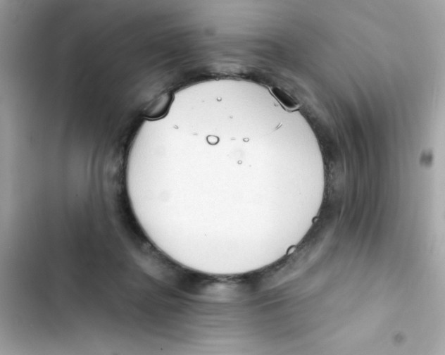 X0000103130364200809191947
