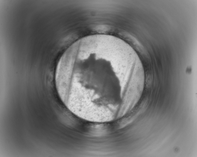X0000103130365200809191947