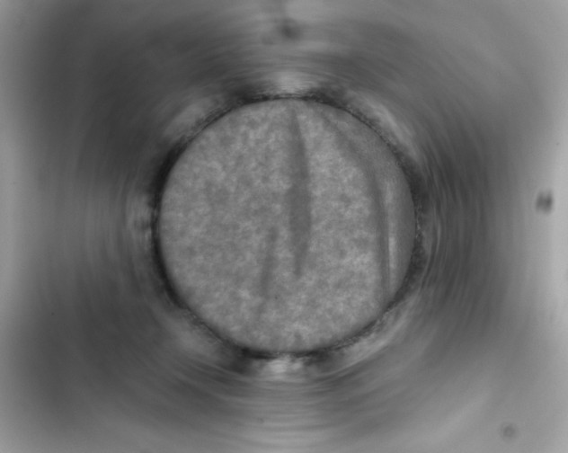 X0000103130366200809191947