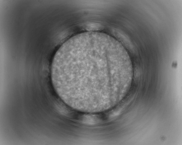 X0000103130367200809191947