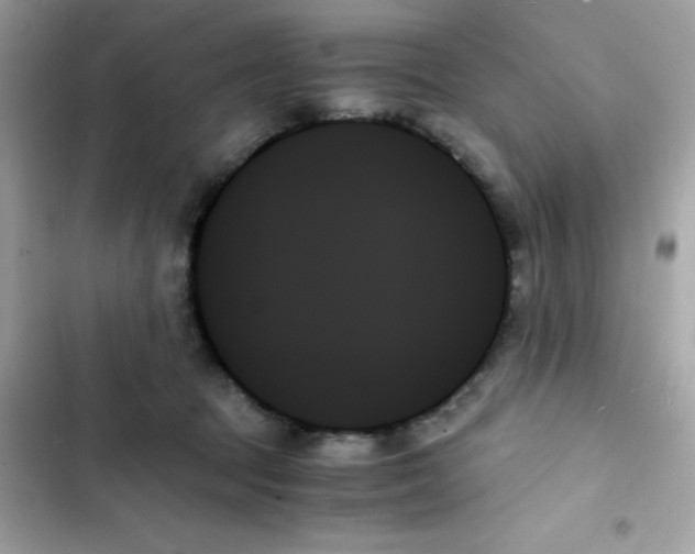 X0000103130369200809191947