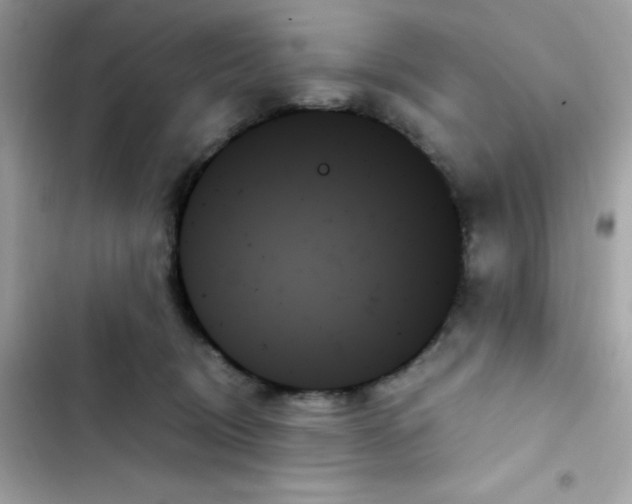 X0000103130370200809191947