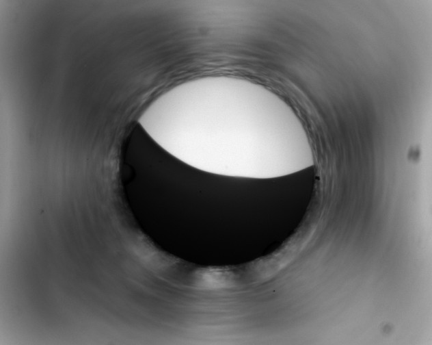 X0000103130372200809191947