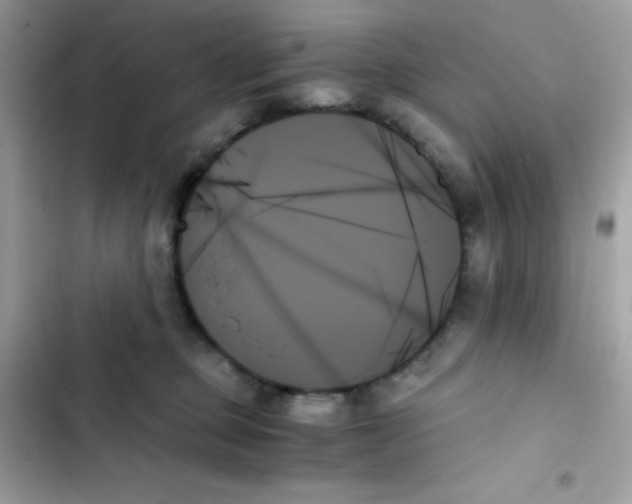 X0000103130373200809191947