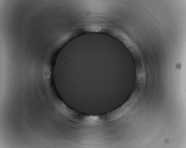 X0000103130374200809191947