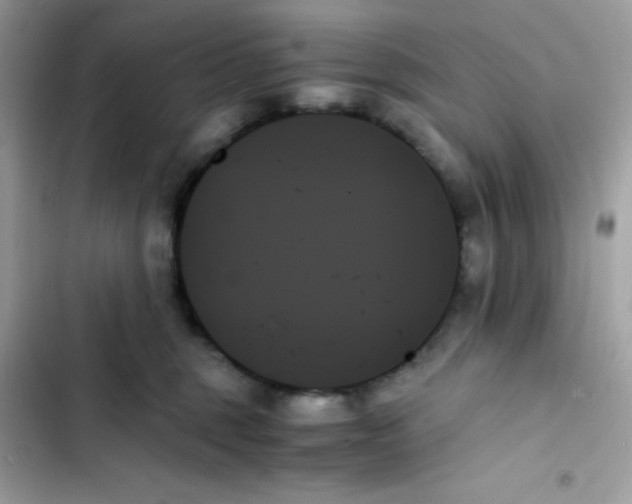 X0000103130375200809191947