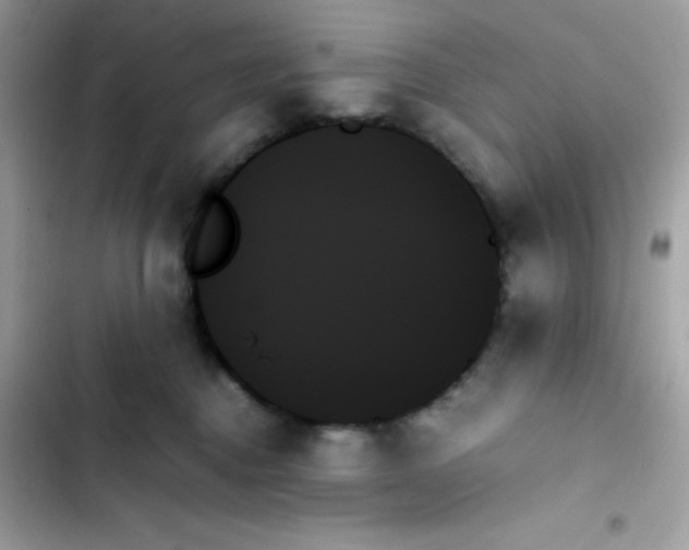 X0000103130376200809191947