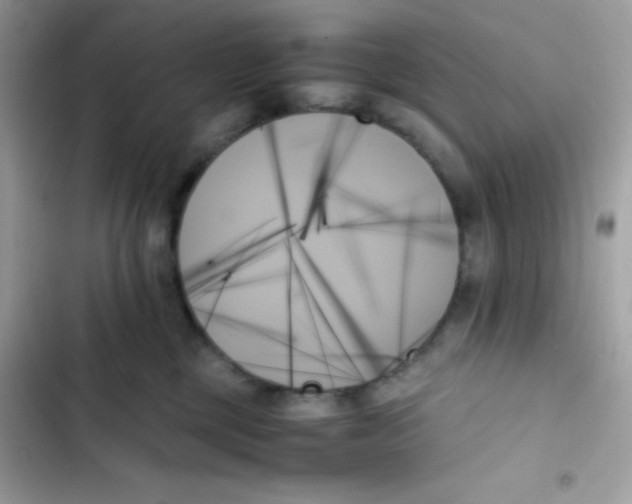 X0000103130377200809191947