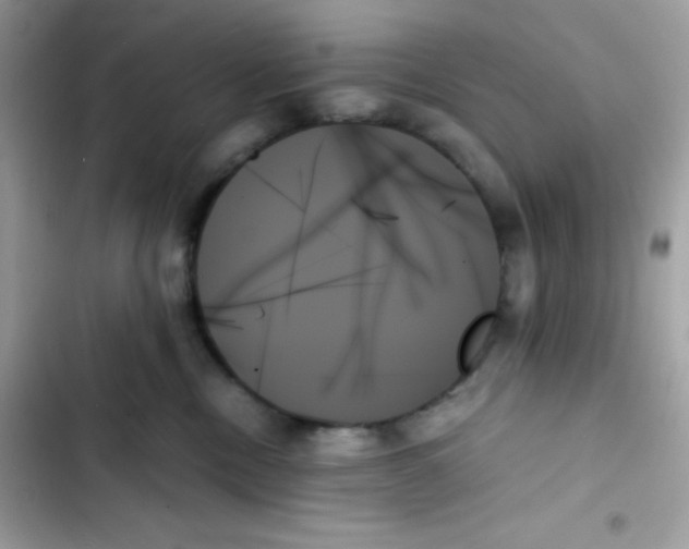 X0000103130378200809191947