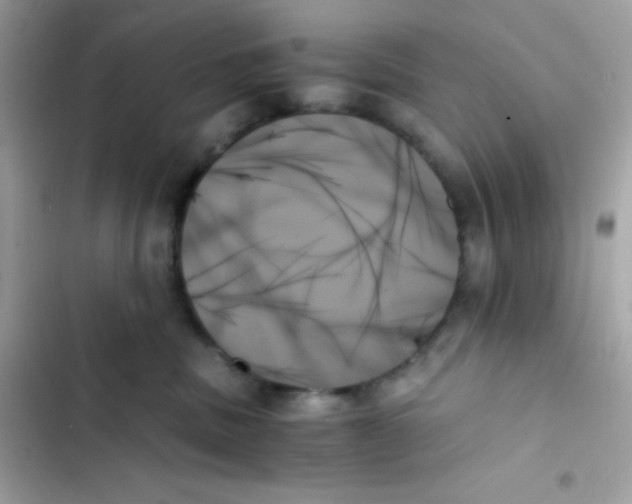 X0000103130379200809191947