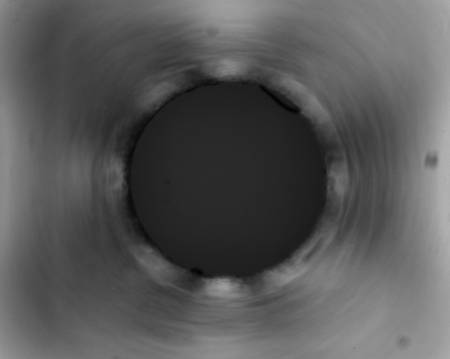 X0000103130380200809191947