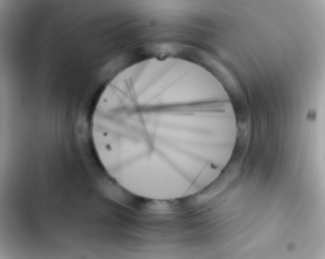 X0000103130381200809191947