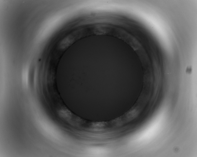 X0000103130382200809191947