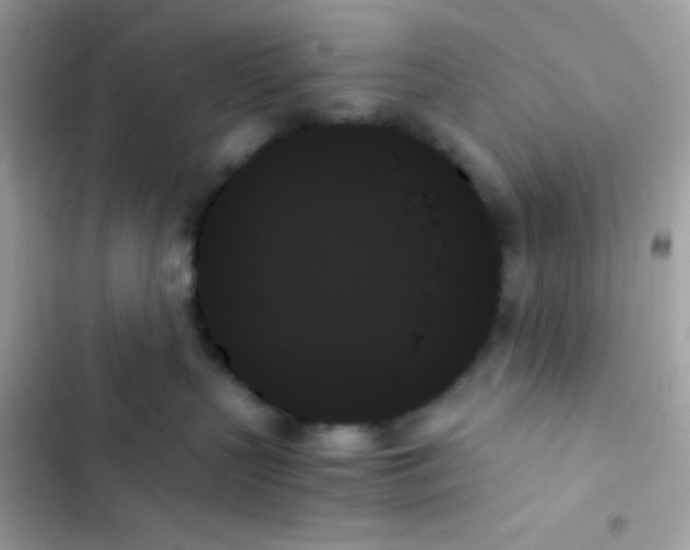 X0000103130383200809191947