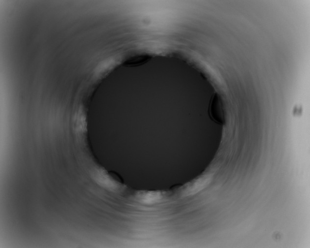 X0000103130384200809191947