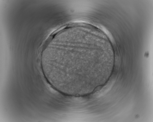 X0000103130385200809191946