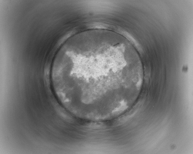 X0000103130386200809191946