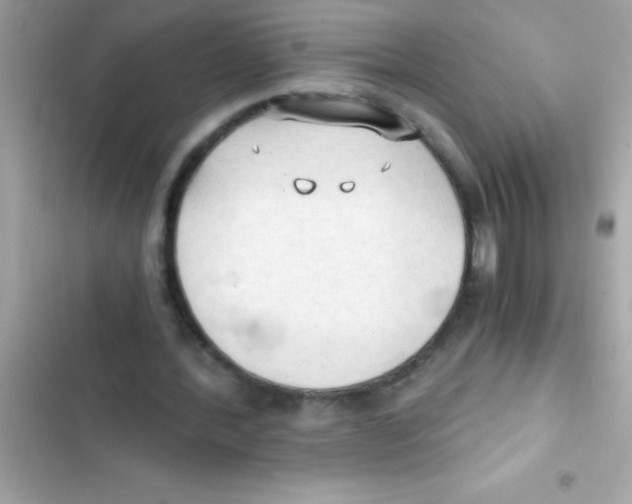 X0000103130388200809191946