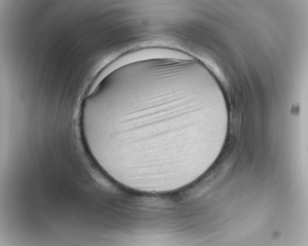 X0000103130389200809191946