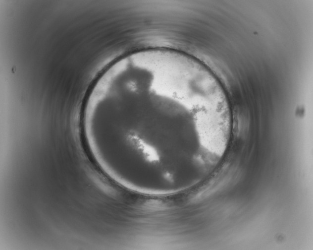 X0000103130390200809191946
