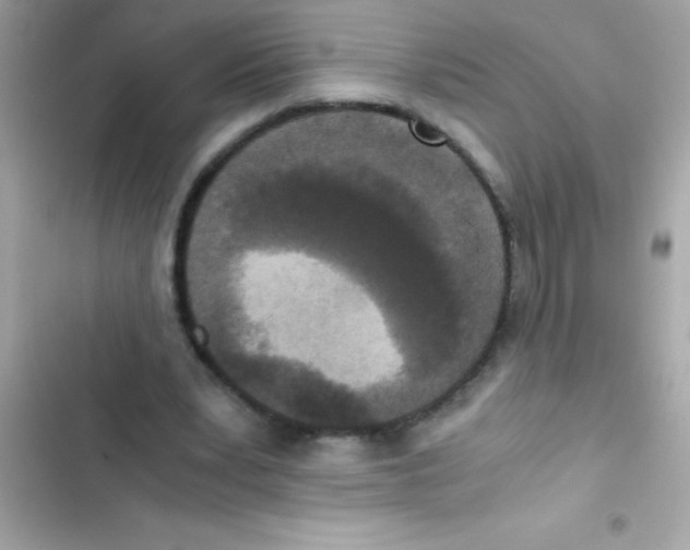 X0000103130391200809191946