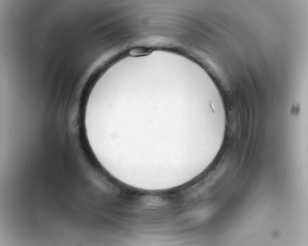 X0000103130392200809191946