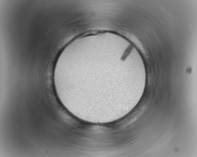 X0000103130393200809191946