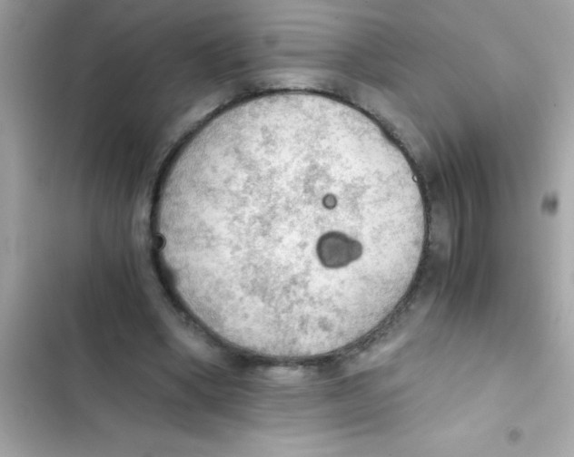 X0000103130394200809191946