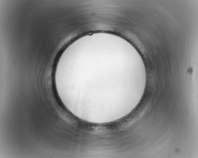 X0000103130395200809191946