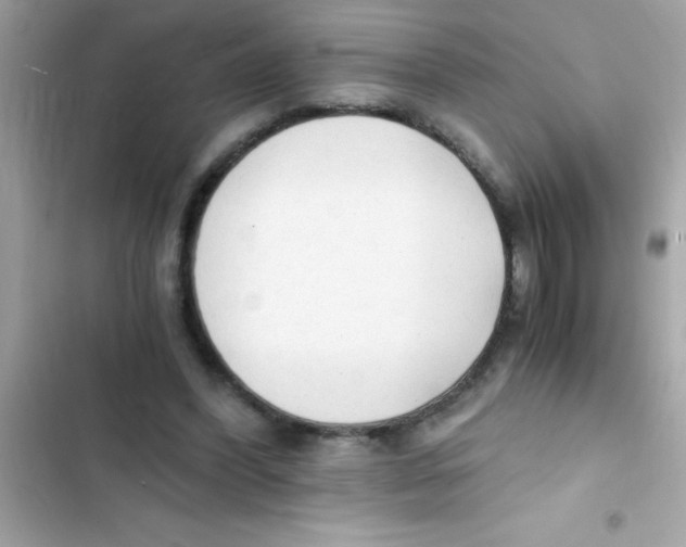 X0000103130396200809191946