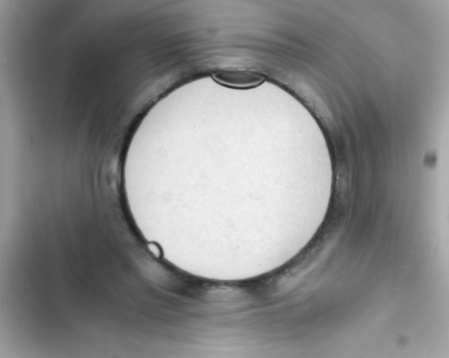 X0000103130397200809191946
