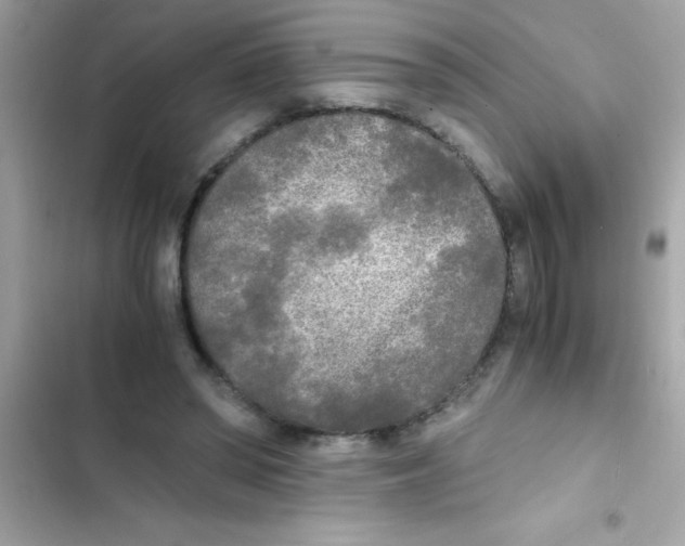 X0000103130398200809191946