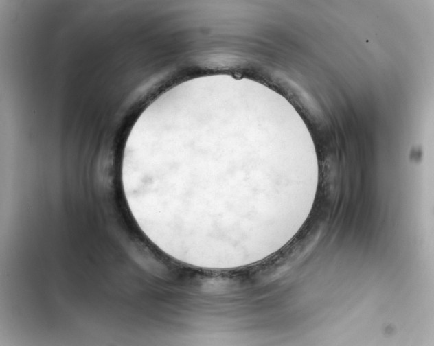 X0000103130400200809191946