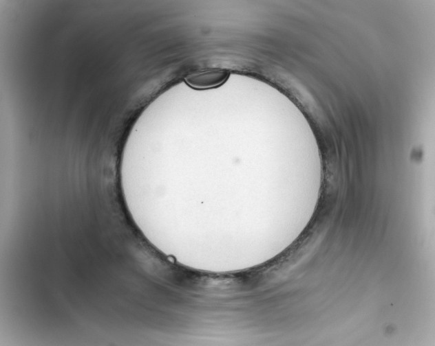 X0000103130401200809191946