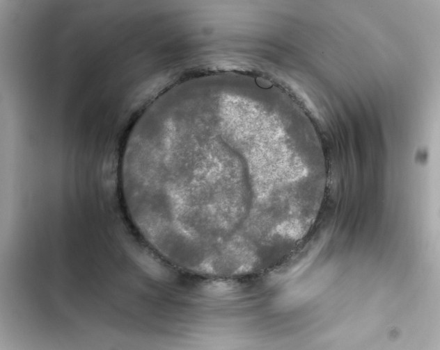 X0000103130402200809191946