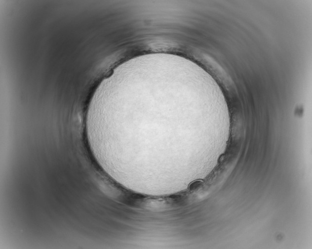 X0000103130405200809191946