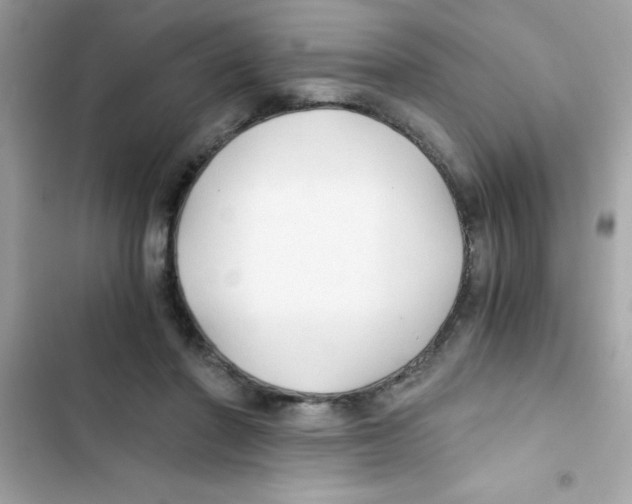 X0000103130406200809191946
