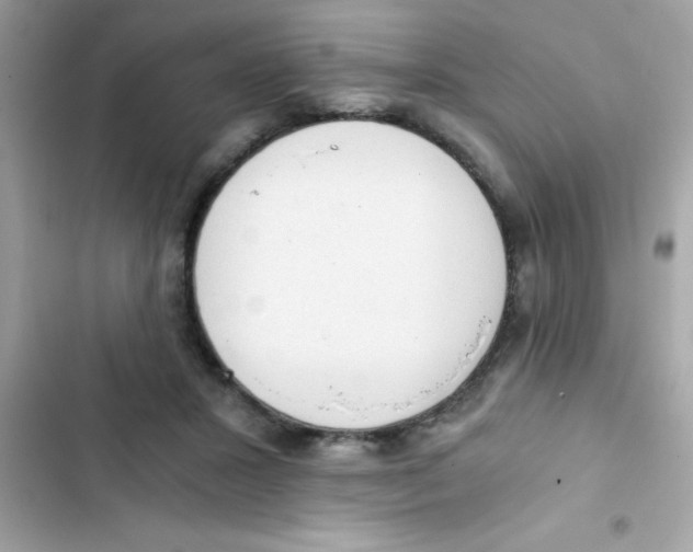 X0000103130407200809191946