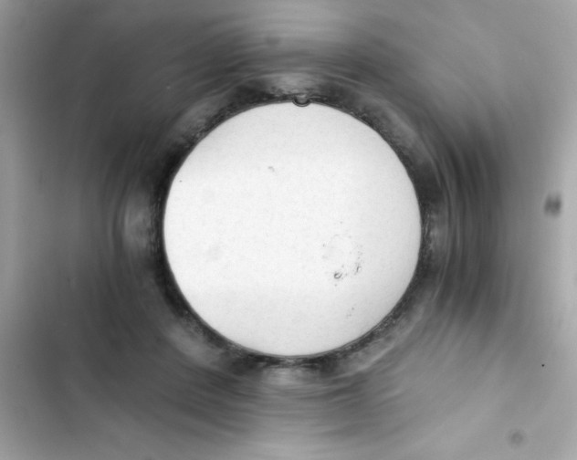 X0000103130408200809191946