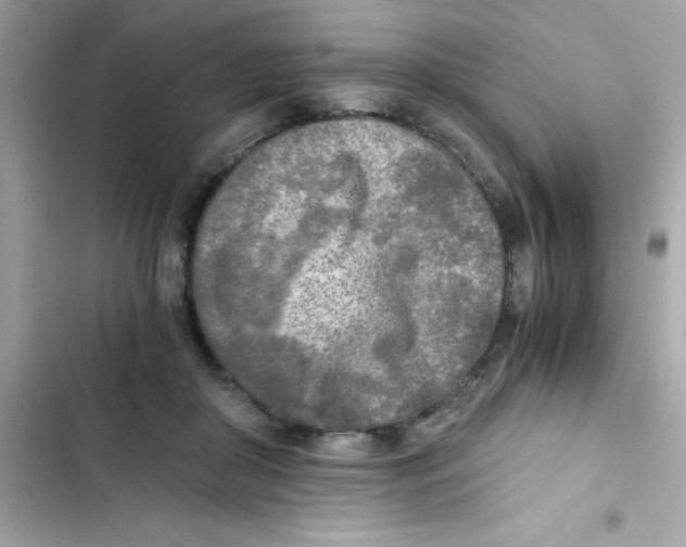 X0000103130410200809191946